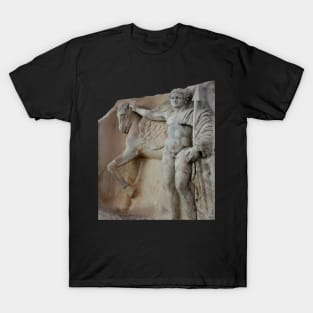 Mythical Horse Creature Ancient Statue Aphrodisias Cut Out T-Shirt